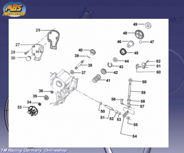 Feder Auslass-Steuerung 85cc