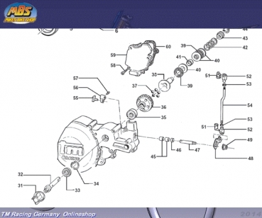 Feder Auslaßsteuerung 250cc 2T