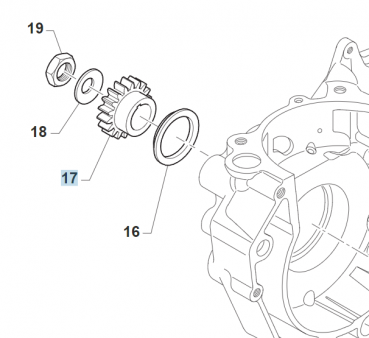 Ritzel Primär Z19 250/300cc  400cc, # 40244;