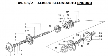 Zahnrad Sekundärwelle 6a Z 24 END 144CC,  # 40456`