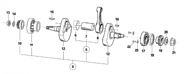 Kugellager 6206 C4 spezial, 250 Fi ab mod 2010, 300 Fi ab 2017. # F03364`