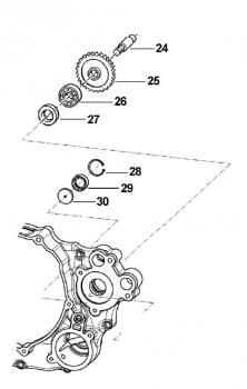 Lager Wasserpumpe  250 F/Fi mod 2009  ,# F03365.