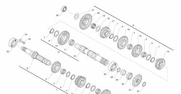 Getriebewelle primaer Z16, SMK 6G. # F40170`