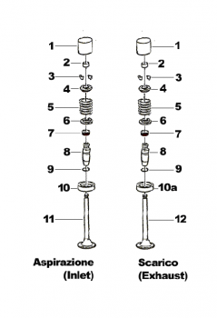 Einlaßventil D.36 X 5.5 Titan, # F14135`