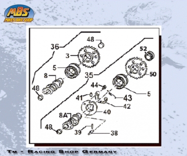 Feder für Automatischen Dekosystem Nockenwelle Auslass