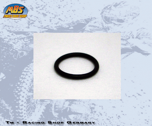O RING Umlenkung und Schwinge. # 12010`