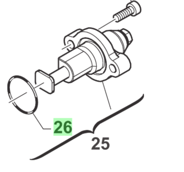 O RING Steuerkettenspanner. # 12012`