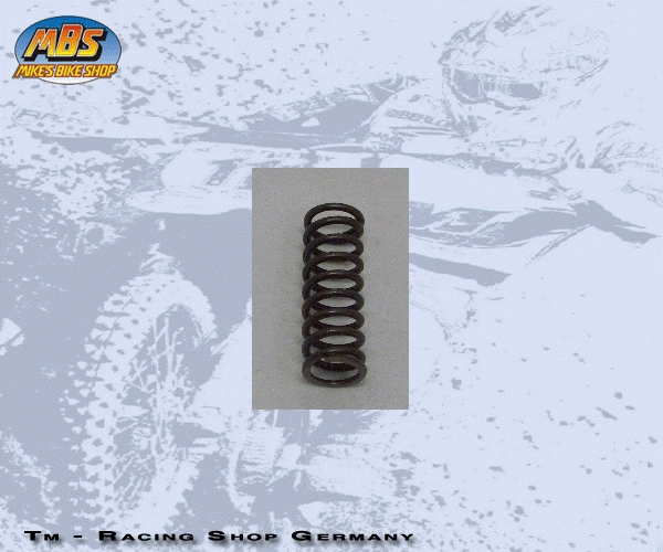 Feder Kupplung 80/125 M. 91/12, # 16035`