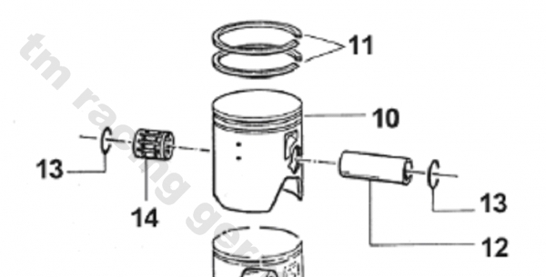 Kolbenbolzenlager 125 für Asso, # 19033.