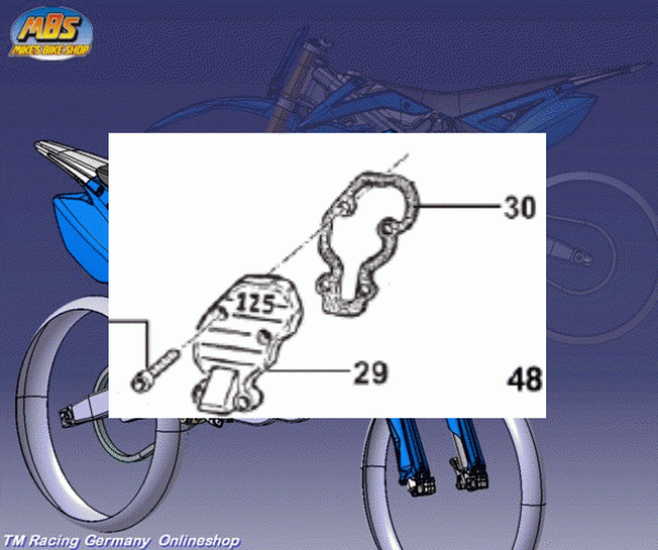 Abdeckung Auslass-Steuerung 125cc mod 2001 bis 2011, # 30199.01.