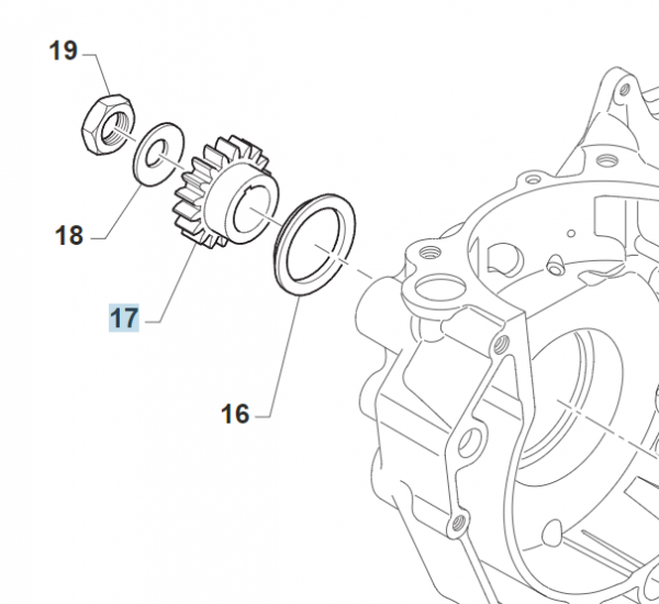 Ritzel Primär Z19 250/300cc  400cc, # 40244;