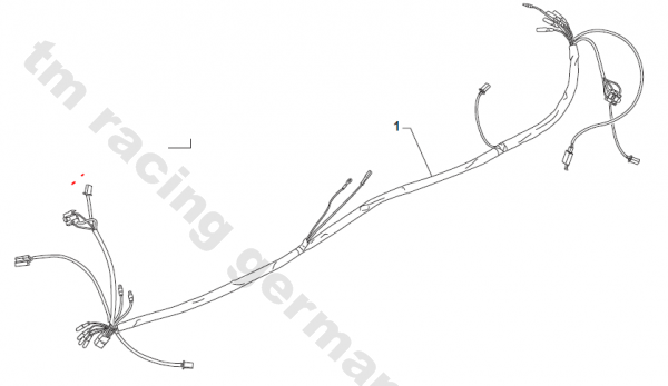 Kabelbaum 2T SMR mit Zündschloss / Batterieversion 2011 -2014, # 68030.14.
