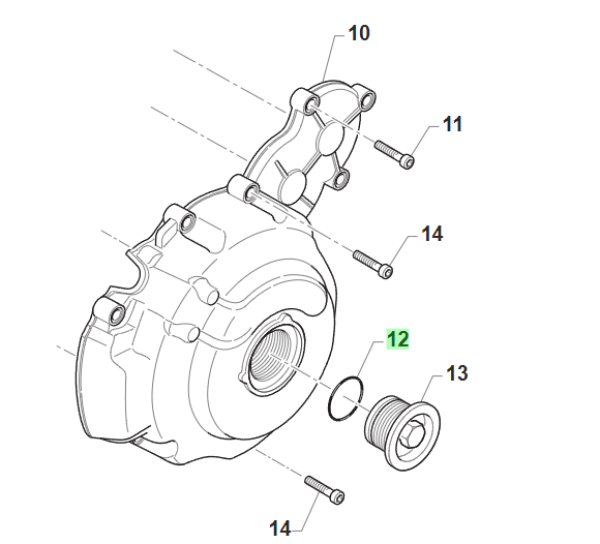 O-Ring Verschlussschraube Zündungsdeckel. # F12313.