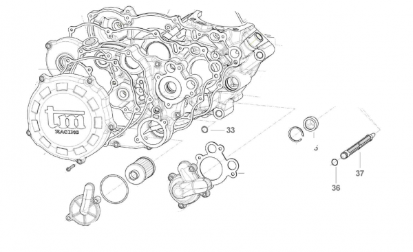 Ölfilter Ölpumpe AS 250Fi. # F32532`
