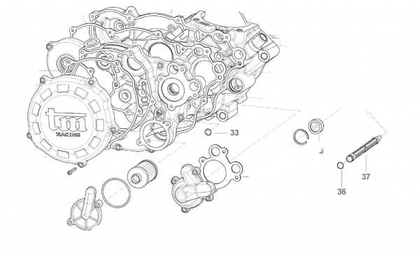 Ölfilter Ölpumpe AS 250Fi, # F32532.