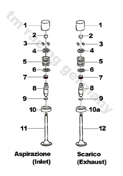 Auslaßventil D.31X5.5, # F14127, ersetzt durch # F14144`