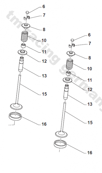 Doppelfeder Einlass. # F16472`
