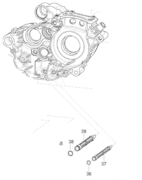 Ölfilter Ölpumpe 250Fi, #F32555,