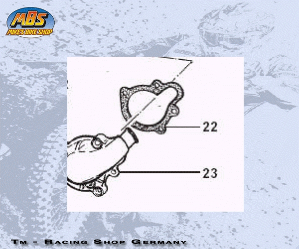 Dichtung Wasserpumpe 4T. # F05808`