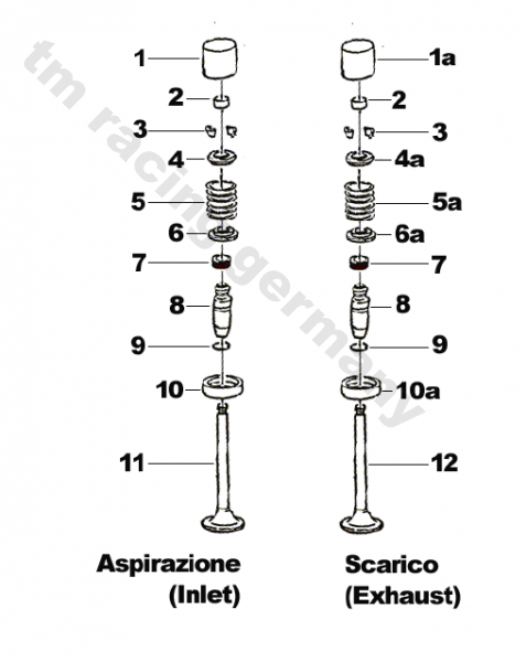 Auslaßventil D.33 X 5.5 Titan, # F14138`