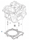 Zylinderkopfdichtung 450 SMK/MX, # F05865`