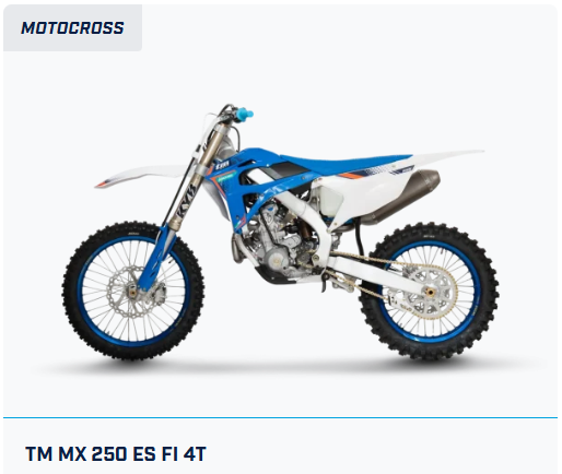 TM MX 250 ES Fi 4T