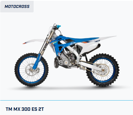 TM MX 300 ES 2T