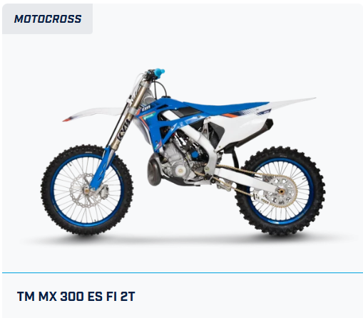 TM MX 300 ES FI 2T