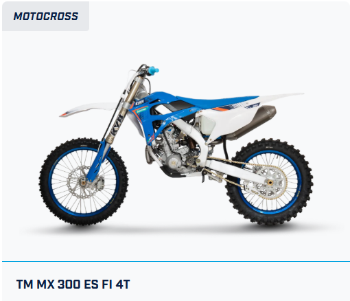 TM MX 300 ES Fi 4T